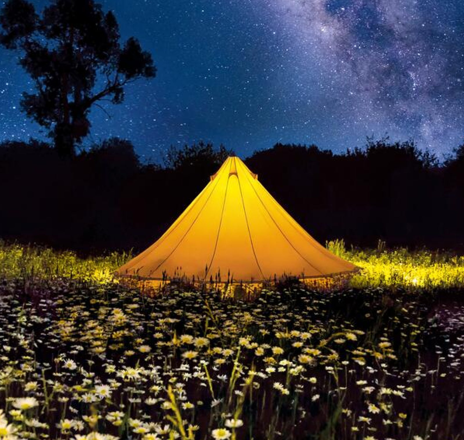 Maximizing Comfort and Safety with Shelter Solutions